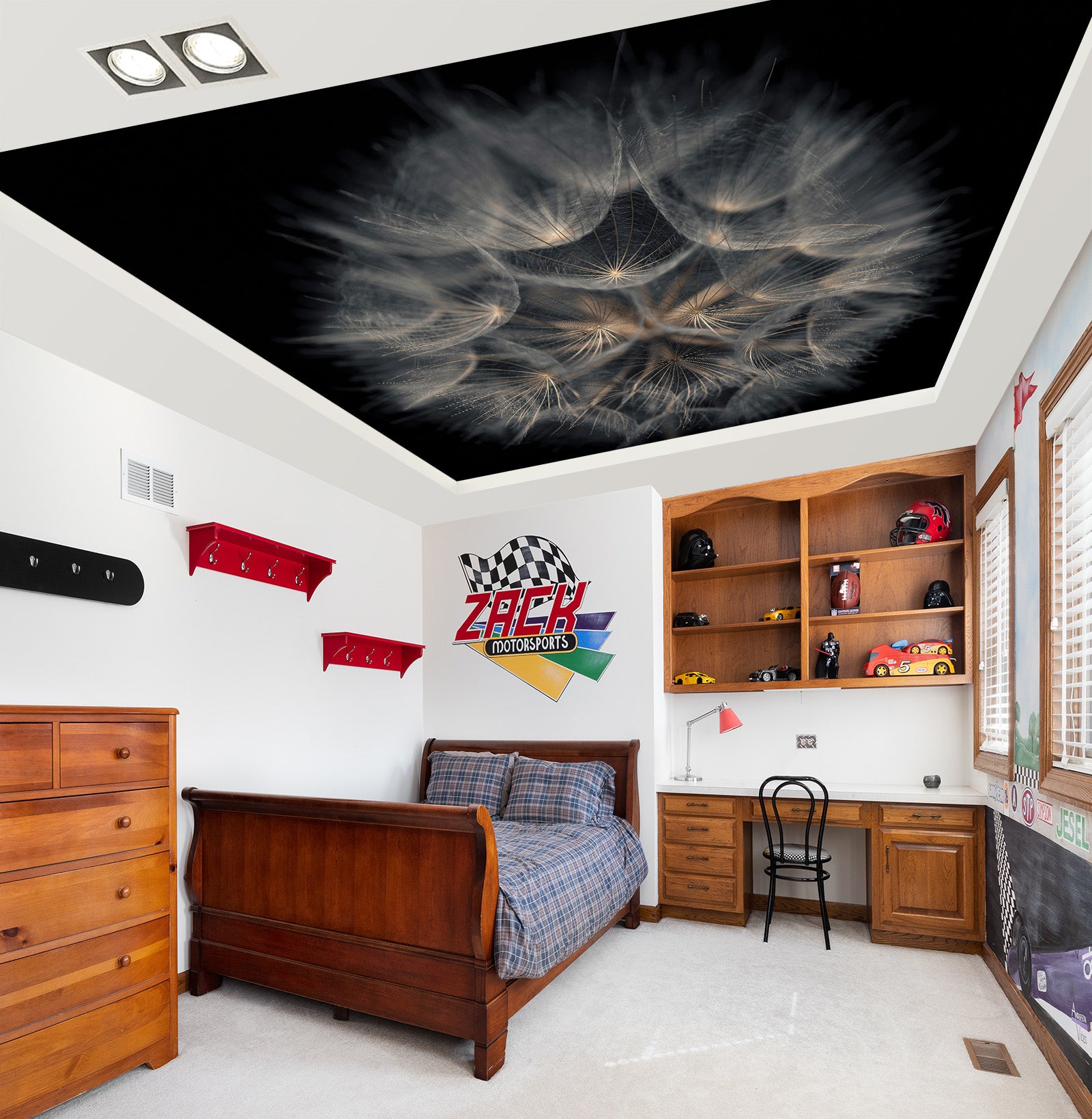 3D Dandelion Feather 2585 Assaf Frank Ceiling Wallpaper Murals