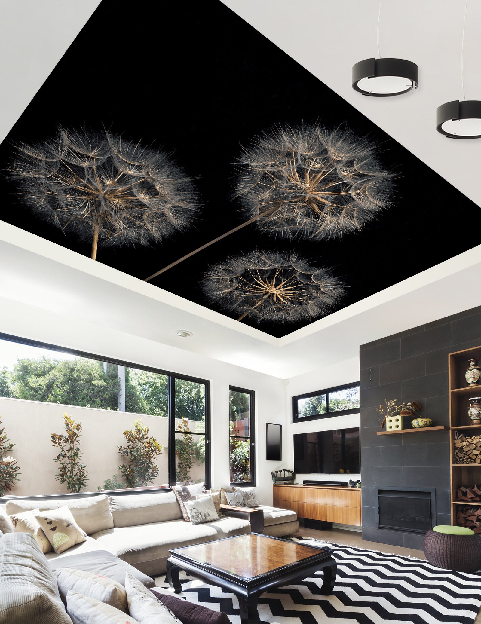 3D Black Dandelion 2584 Assaf Frank Ceiling Wallpaper Murals