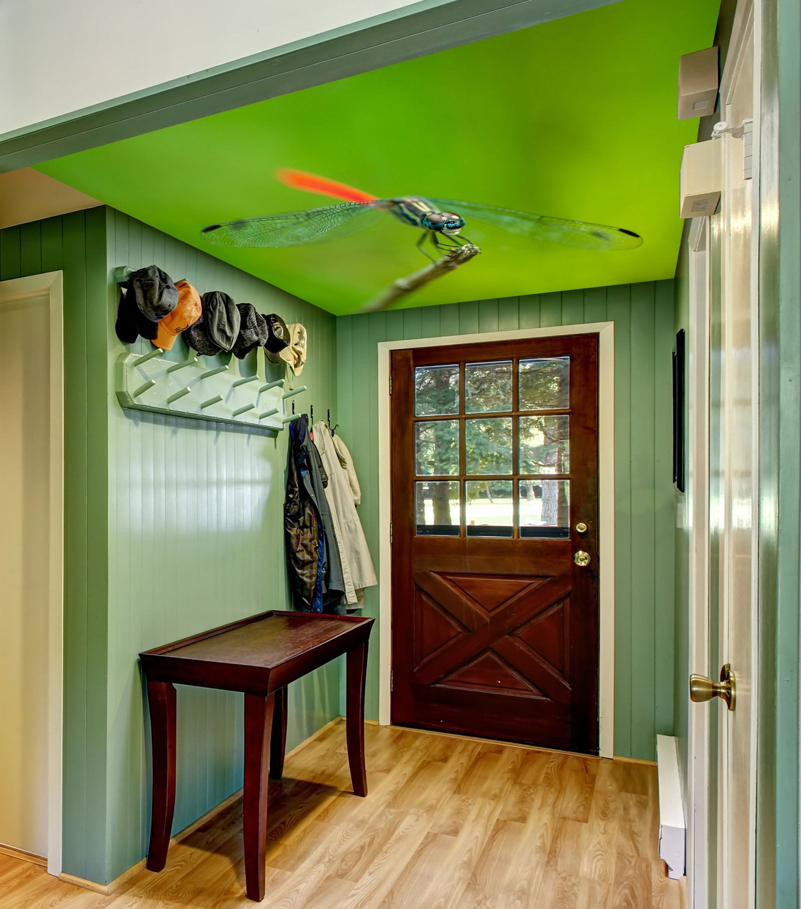 3D Green Dragonfly 405 Assaf Frank Ceiling Wallpaper Murals