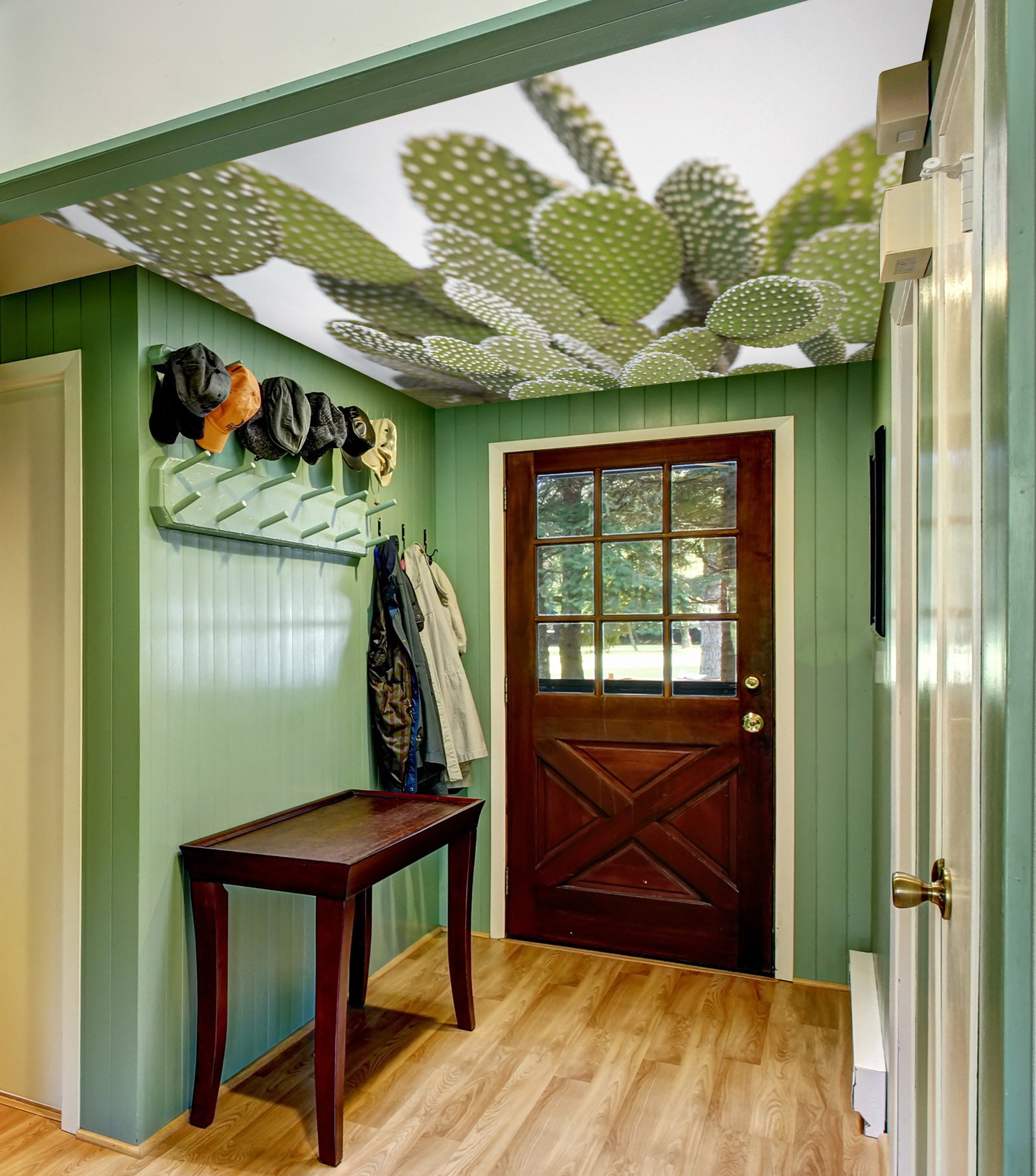 3D Green Cactus 2588 Assaf Frank Ceiling Wallpaper Murals