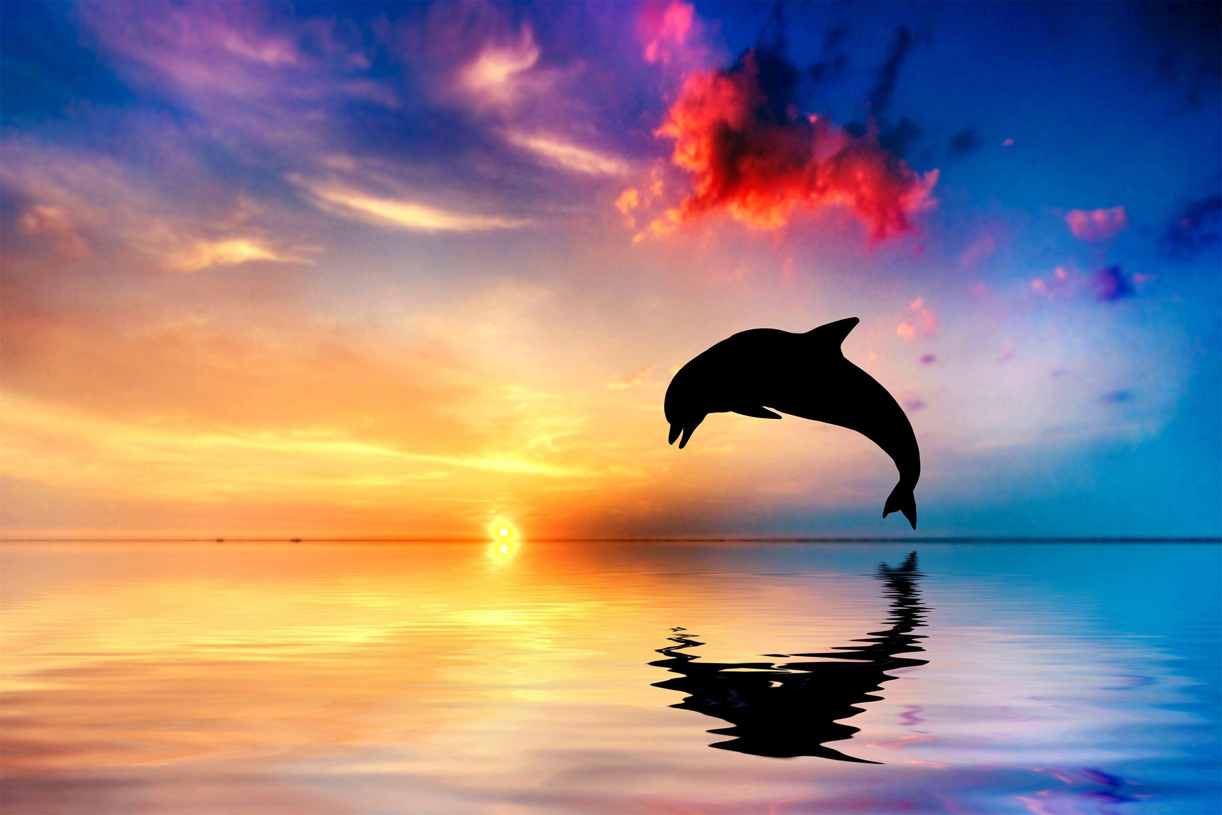 3D Sunset Sea Jumping Dolphin 132 Kitchen Mat Floor Mural Wallpaper AJ Wallpaper 