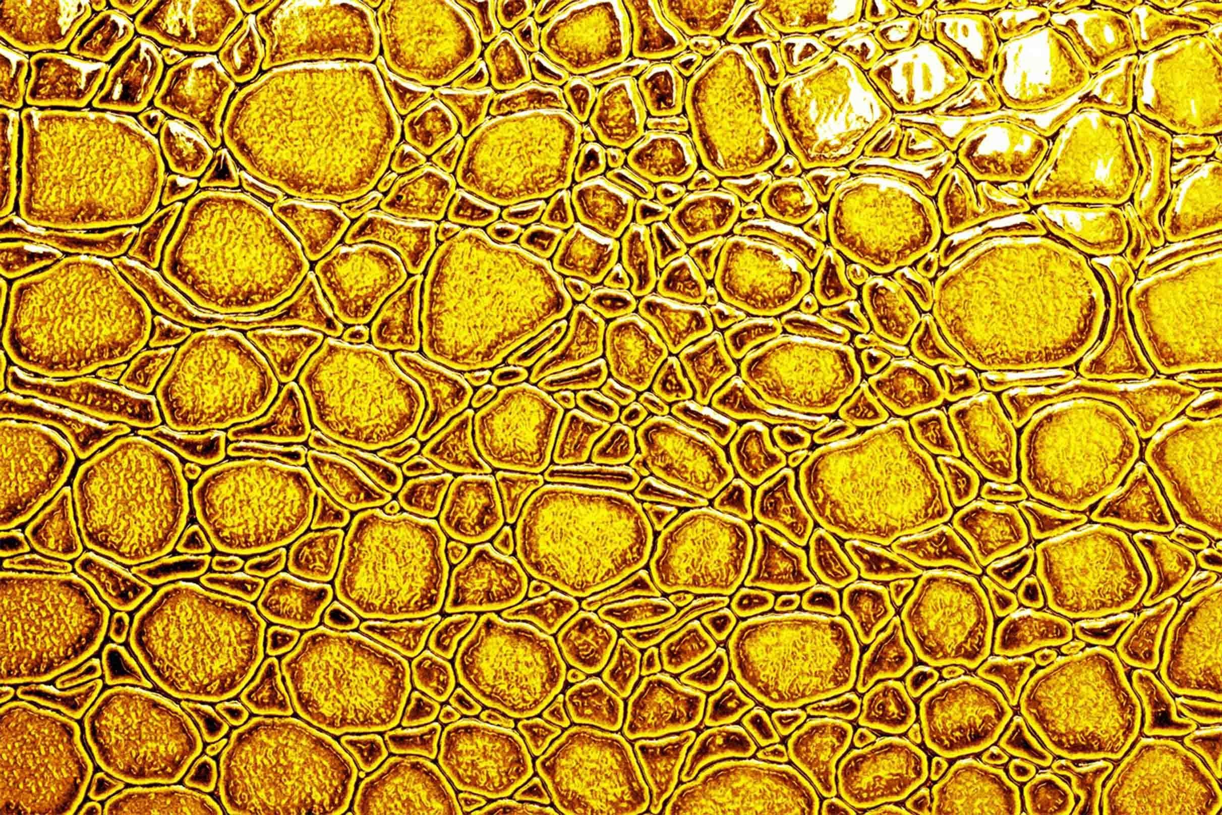 3D Bright Pattern 567 Kitchen Mat Floor Mural Wallpaper AJ Wallpaper 