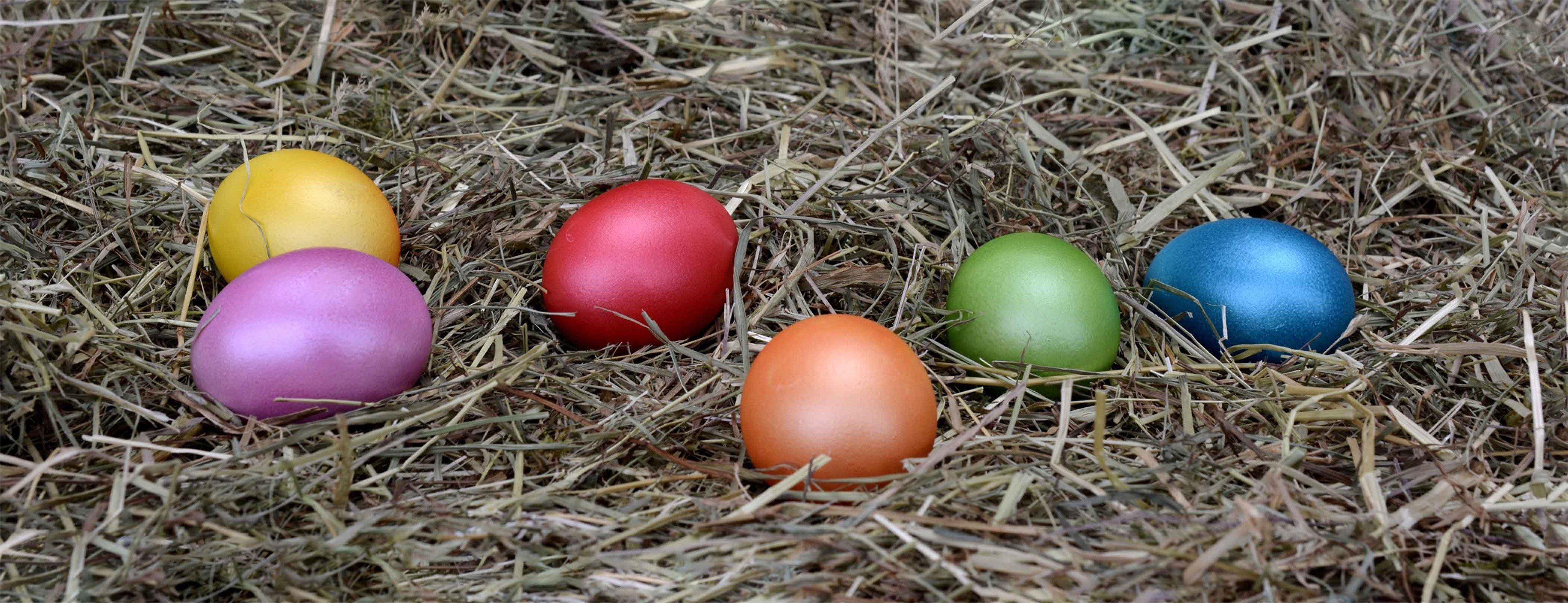 3D Weeds Color Eggs 579 Kitchen Mat Floor Mural Wallpaper AJ Wallpaper 