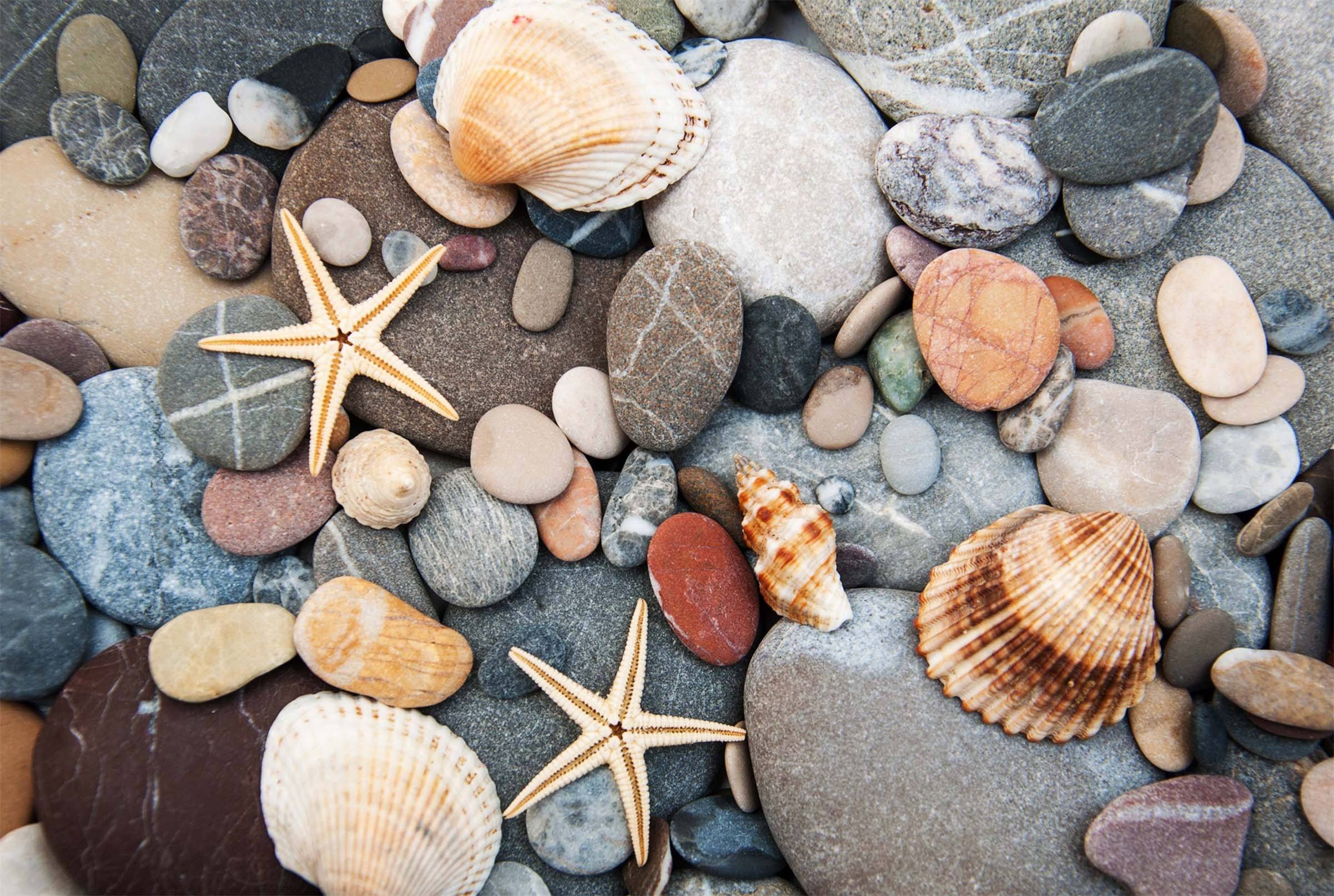 3D Stones Shells 573 Kitchen Mat Floor Mural Wallpaper AJ Wallpaper 