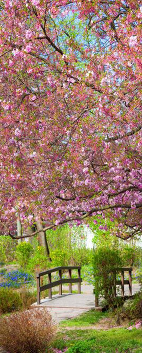 3D flower nature spring tree door mural Wallpaper AJ Wallpaper 