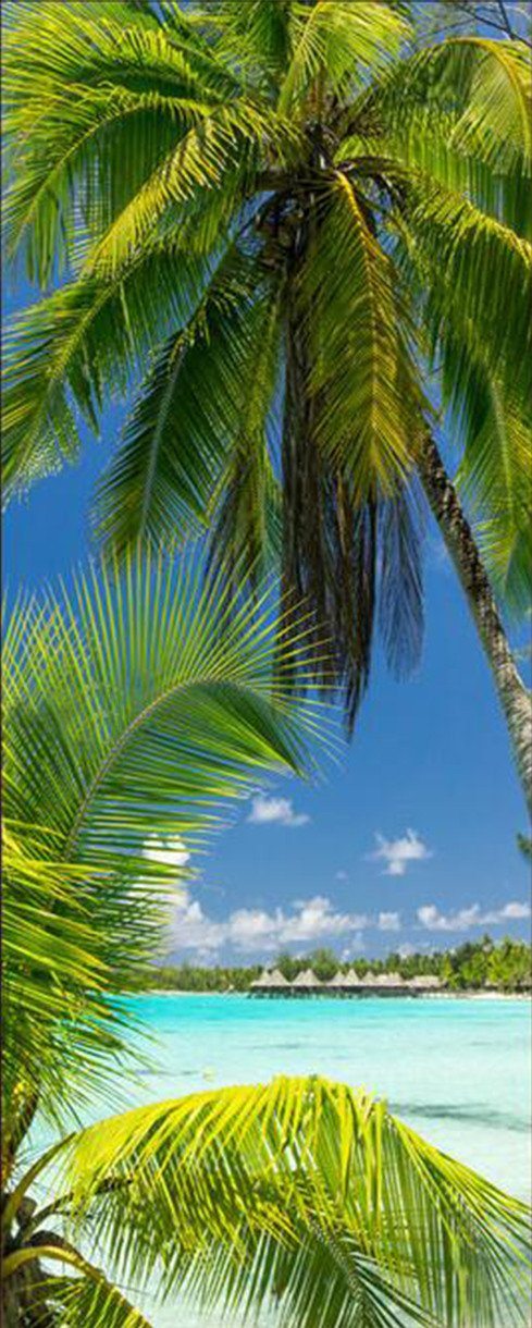 3D palm sea sky door mural Wallpaper AJ Wallpaper 