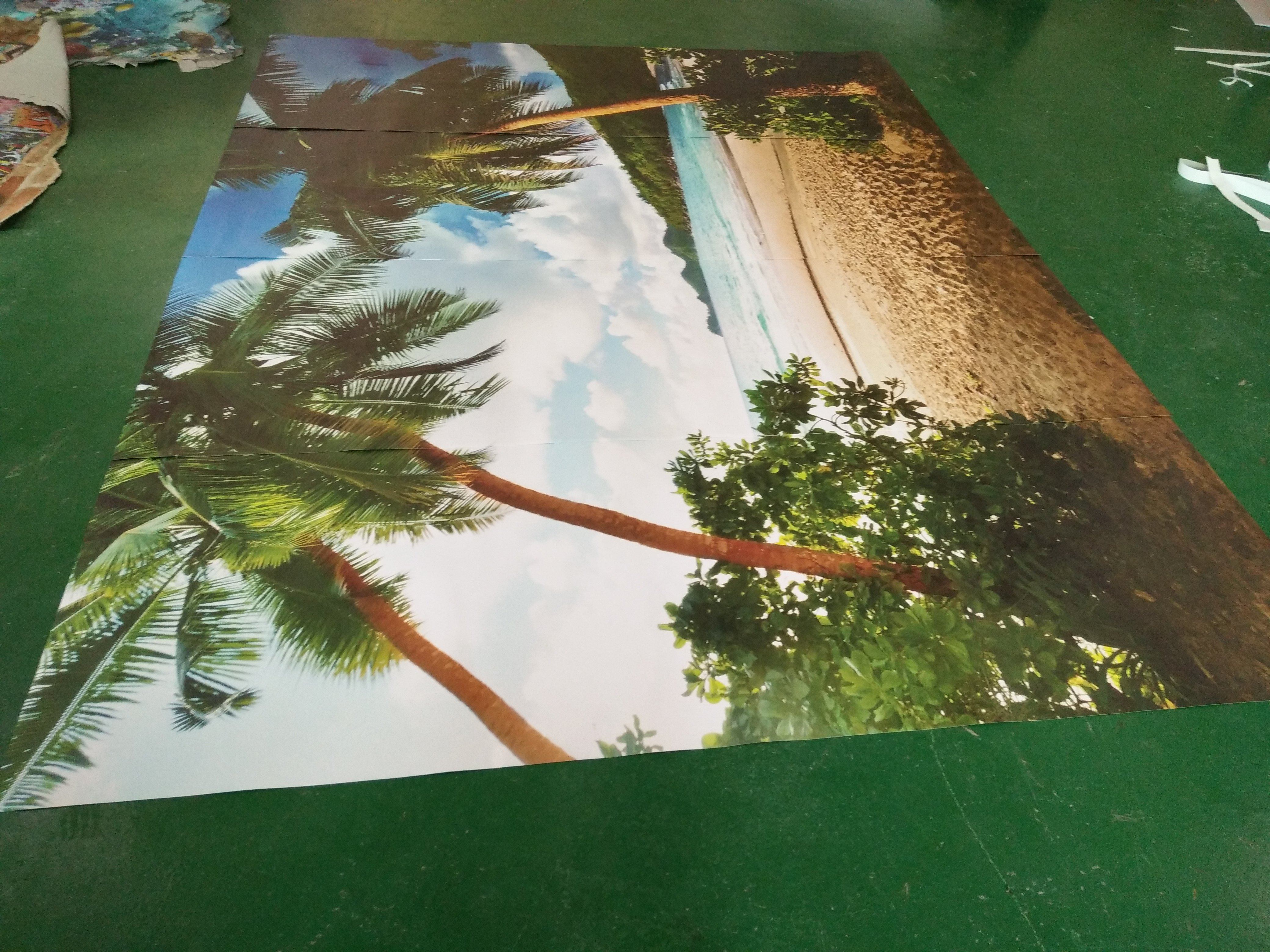 Green Coconut Trees Wallpaper AJ Wallpaper 