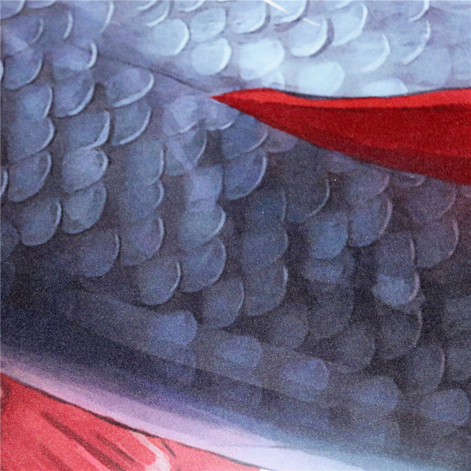 3D Catfish Kiss 165 Bed Pillowcases Quilt Wallpaper AJ Wallpaper 