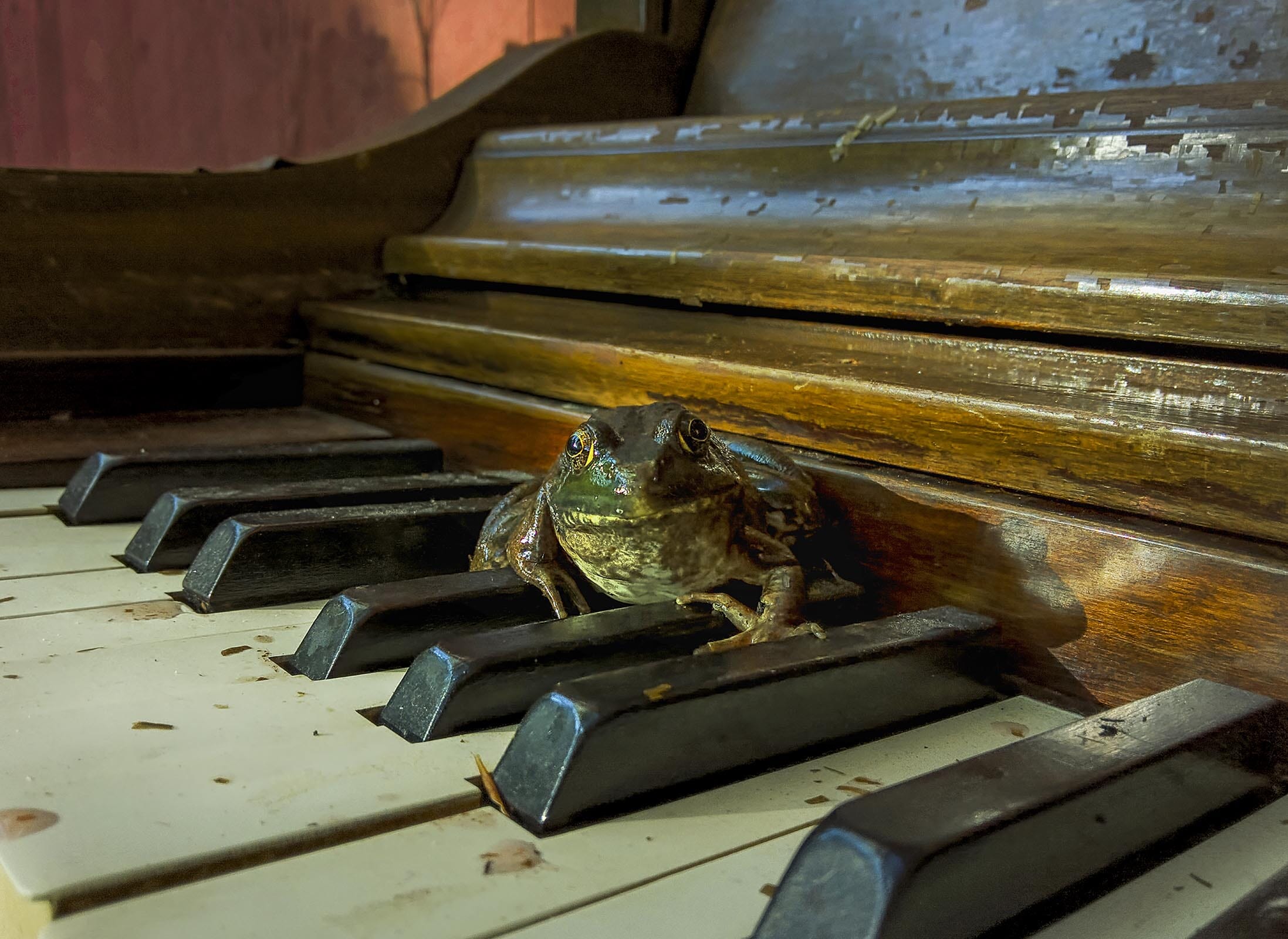 3D Sunset Sea 129 Jerry LoFaro Wall Mural Wall Murals Wallpaper AJ Wallpaper 2 