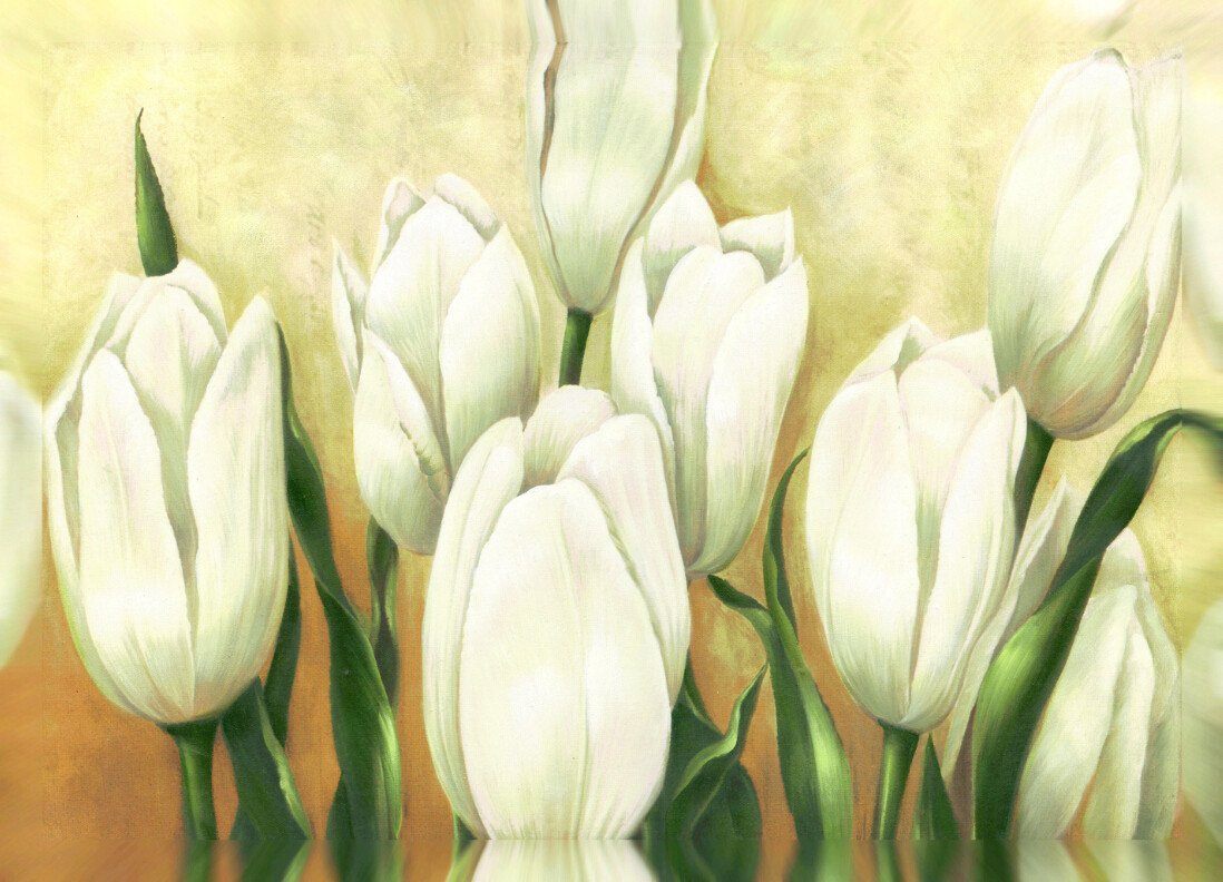 Tulips Buds Wallpaper AJ Wallpaper 2 