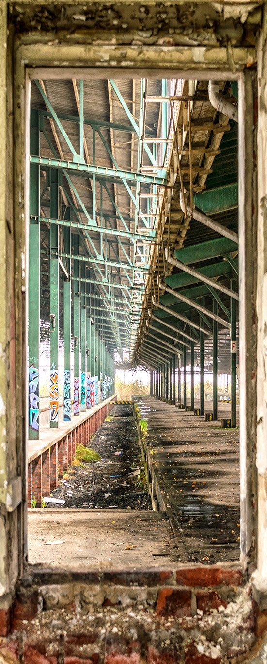 3D moss tall pillars field painting door mural Wallpaper AJ Wallpaper 