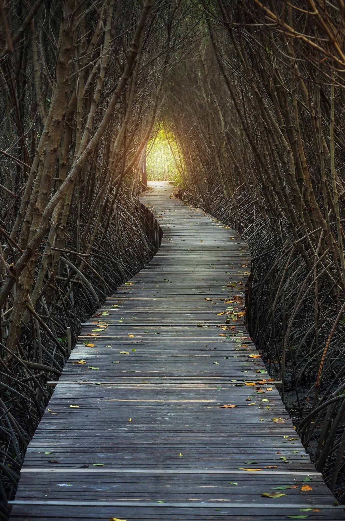3D Bare Forest Wood Path Door Mural Wallpaper AJ Wallpaper 