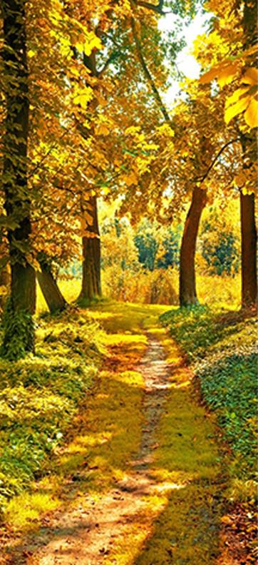 3D sunshine yellow leaves yellow road door mural Wallpaper AJ Wallpaper 