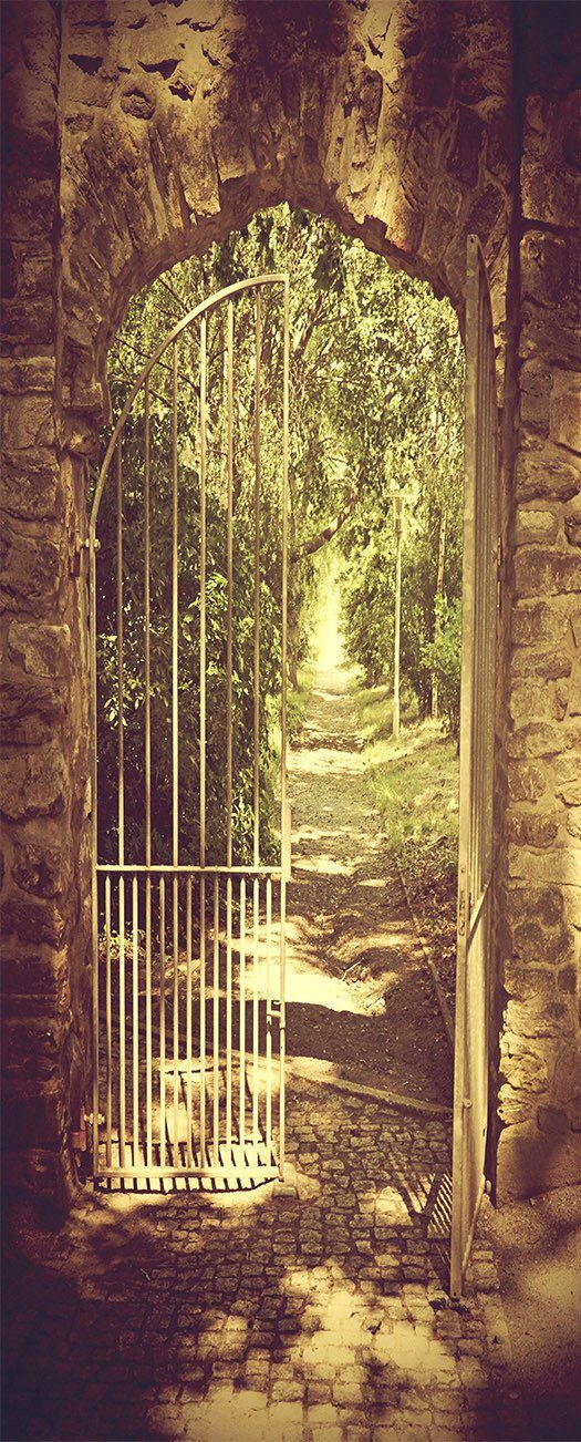 3D path through the woods arch door mural Wallpaper AJ Wallpaper 