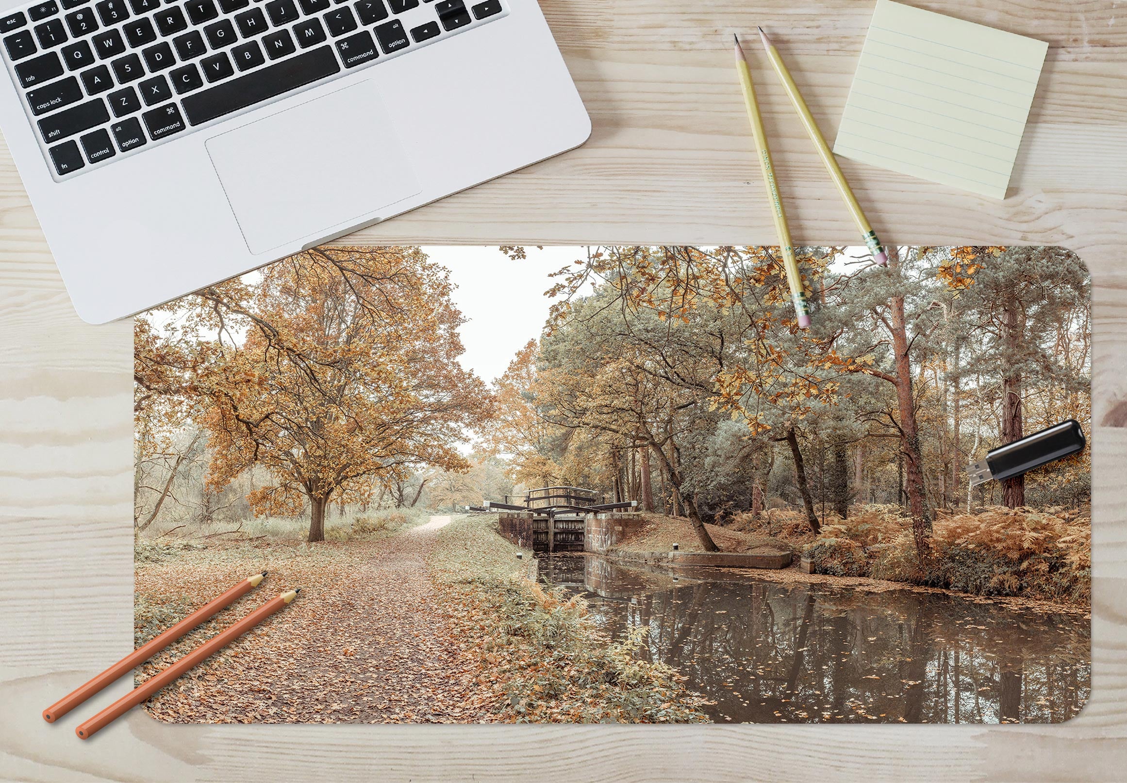 3D Creek Trees 12449 Assaf Frank Desk Mat