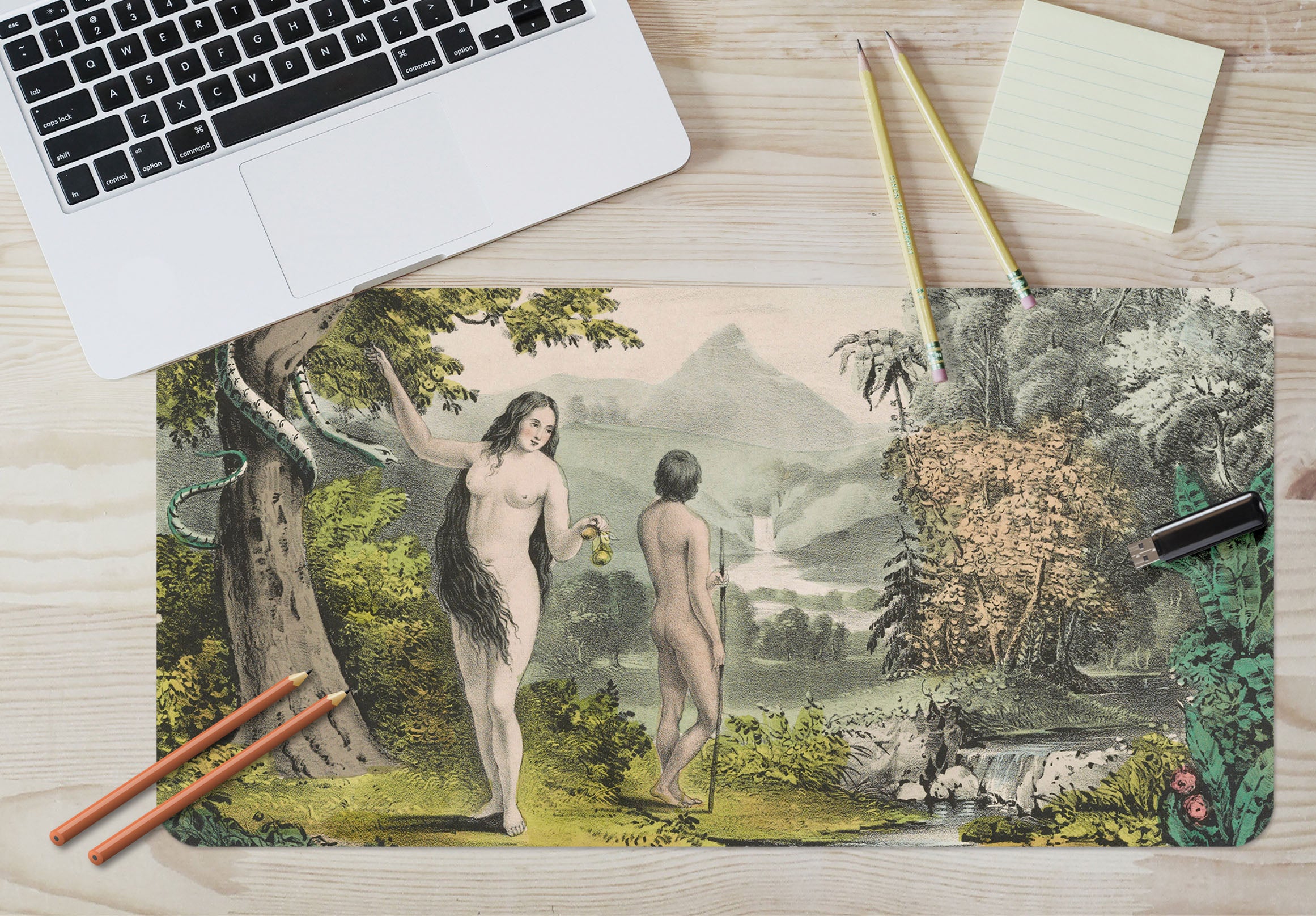 3D Forest Woman 155 Andrea Haase Desk Mat