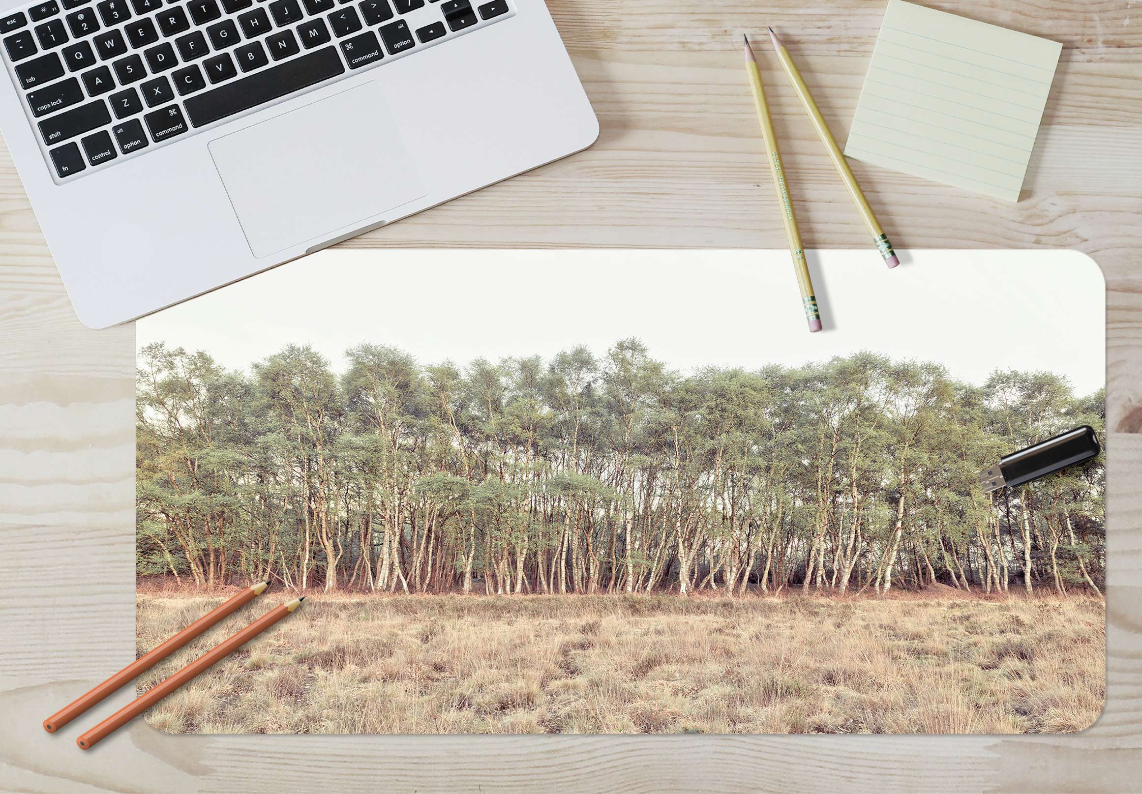 3D Grassland Forest 12433 Assaf Frank Desk Mat