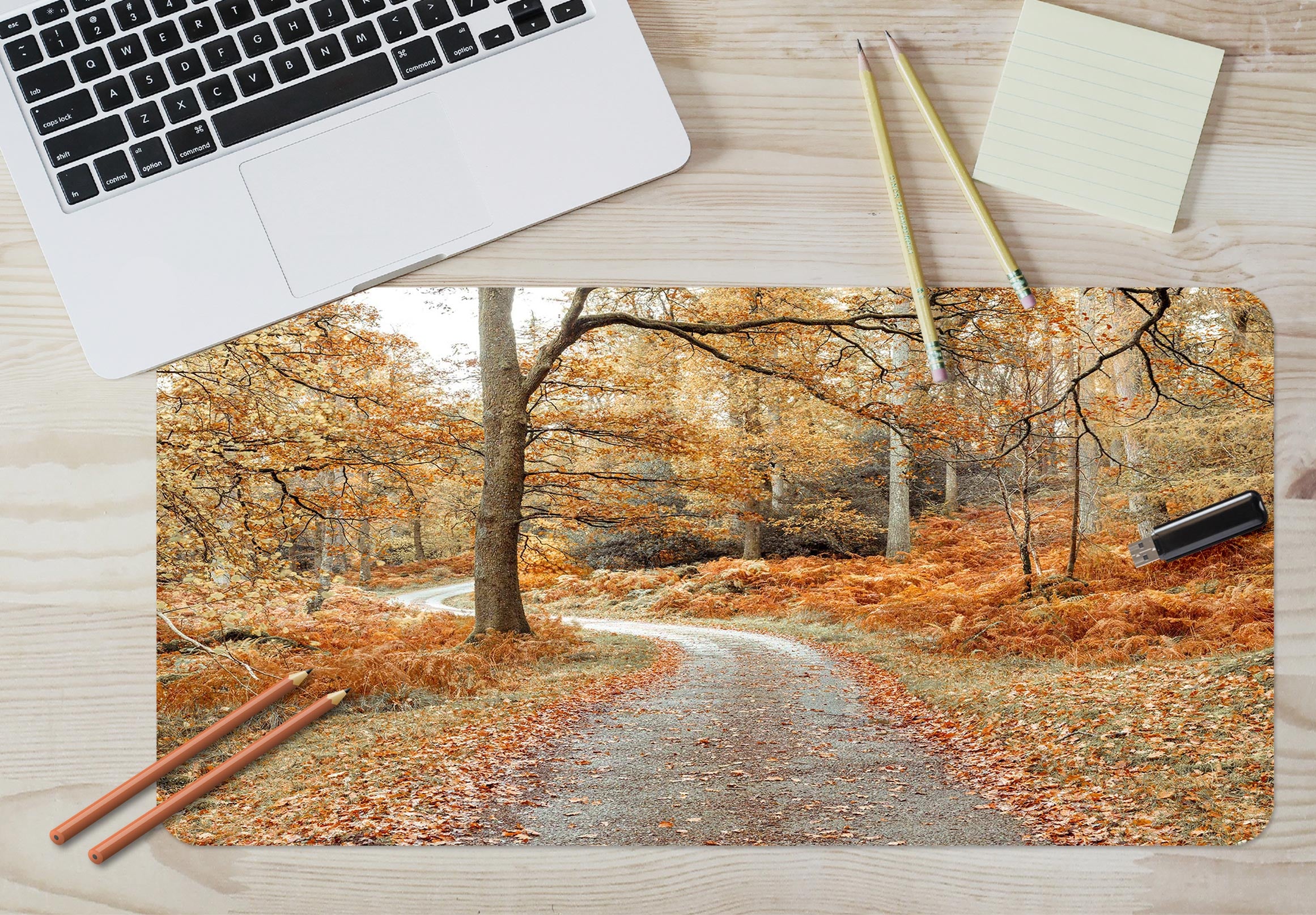 3D Fallen Leaves Path Trees 12444 Assaf Frank Desk Mat