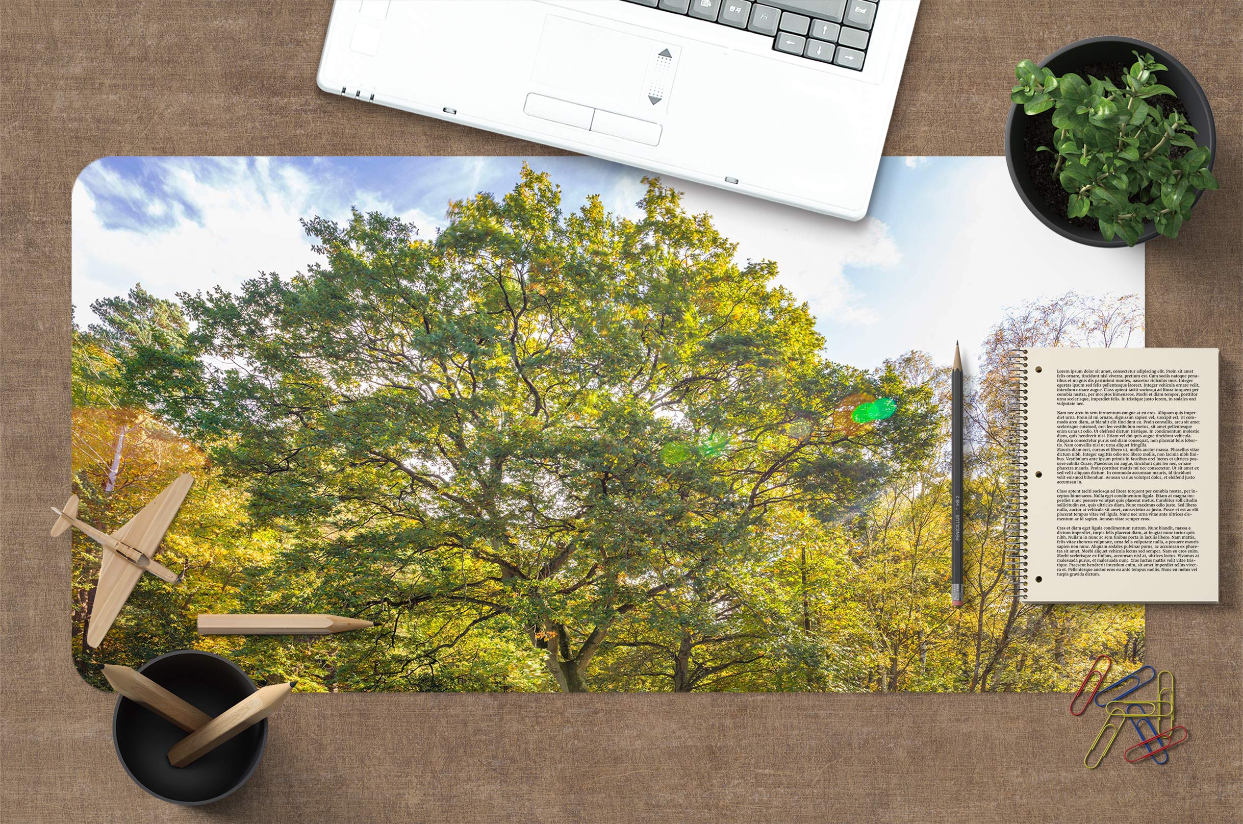 3D Trees 12415 Assaf Frank Desk Mat