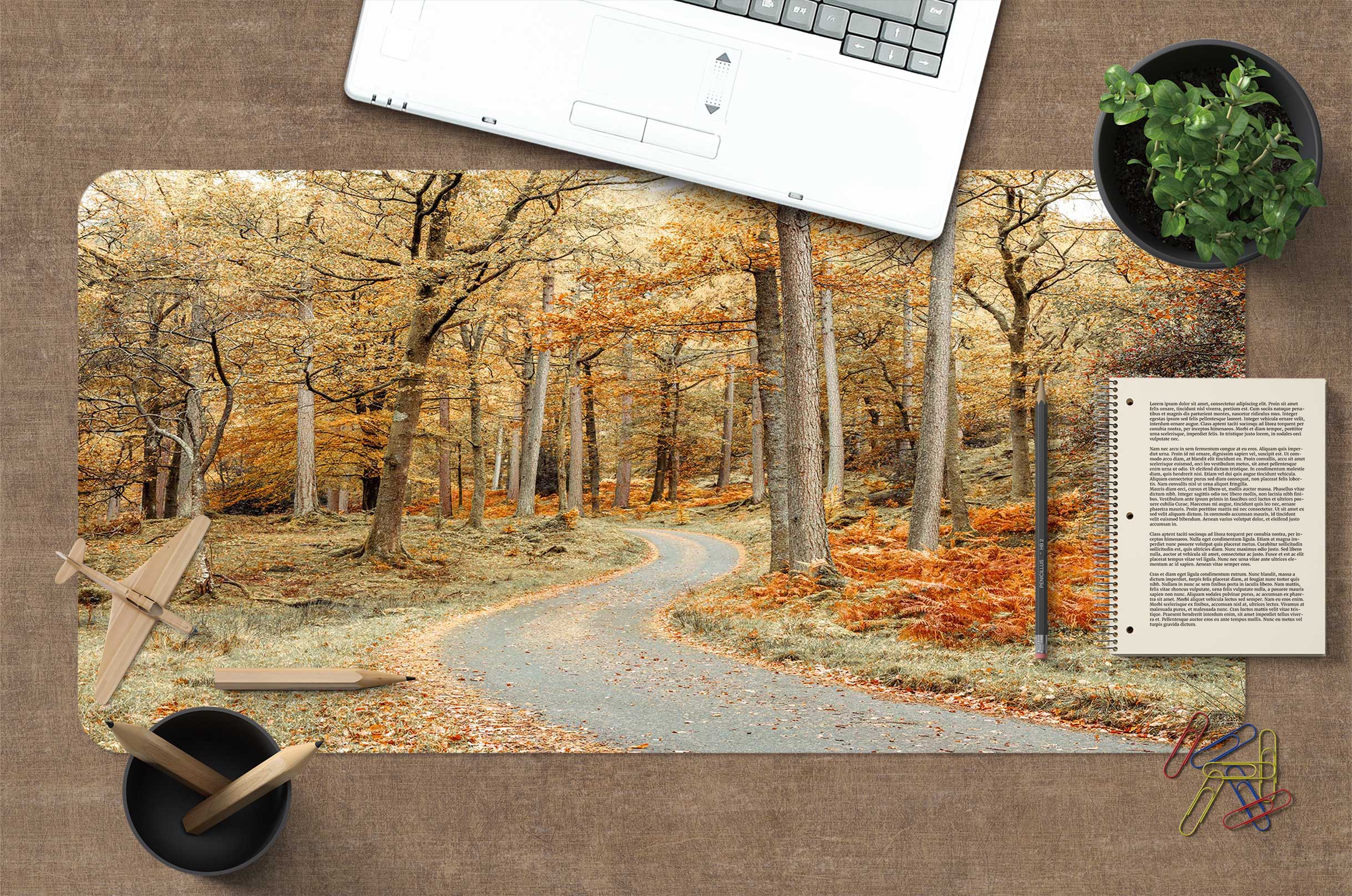 3D Path Woods 12443 Assaf Frank Desk Mat