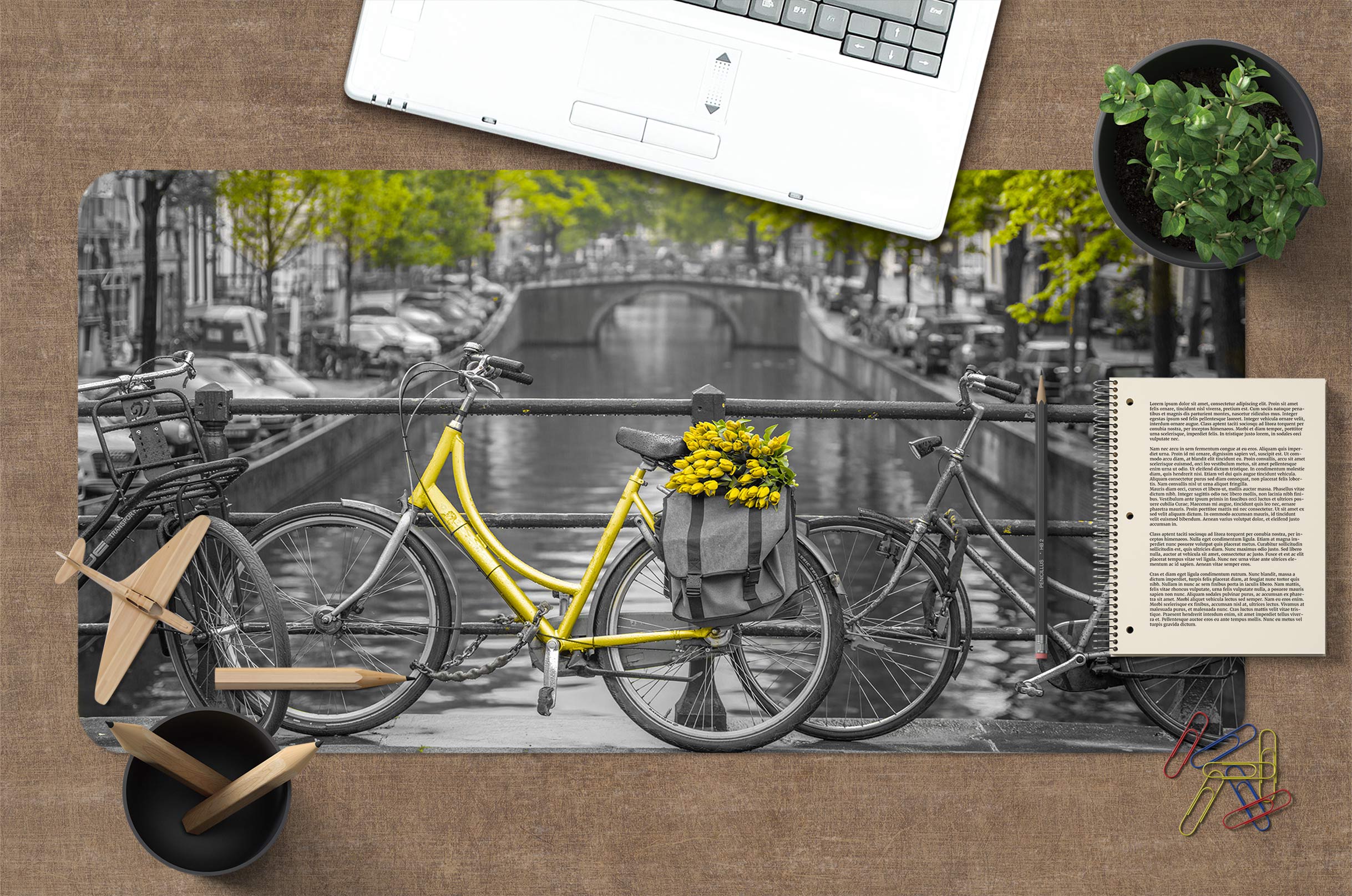 3D River Bike 12412 Assaf Frank Desk Mat
