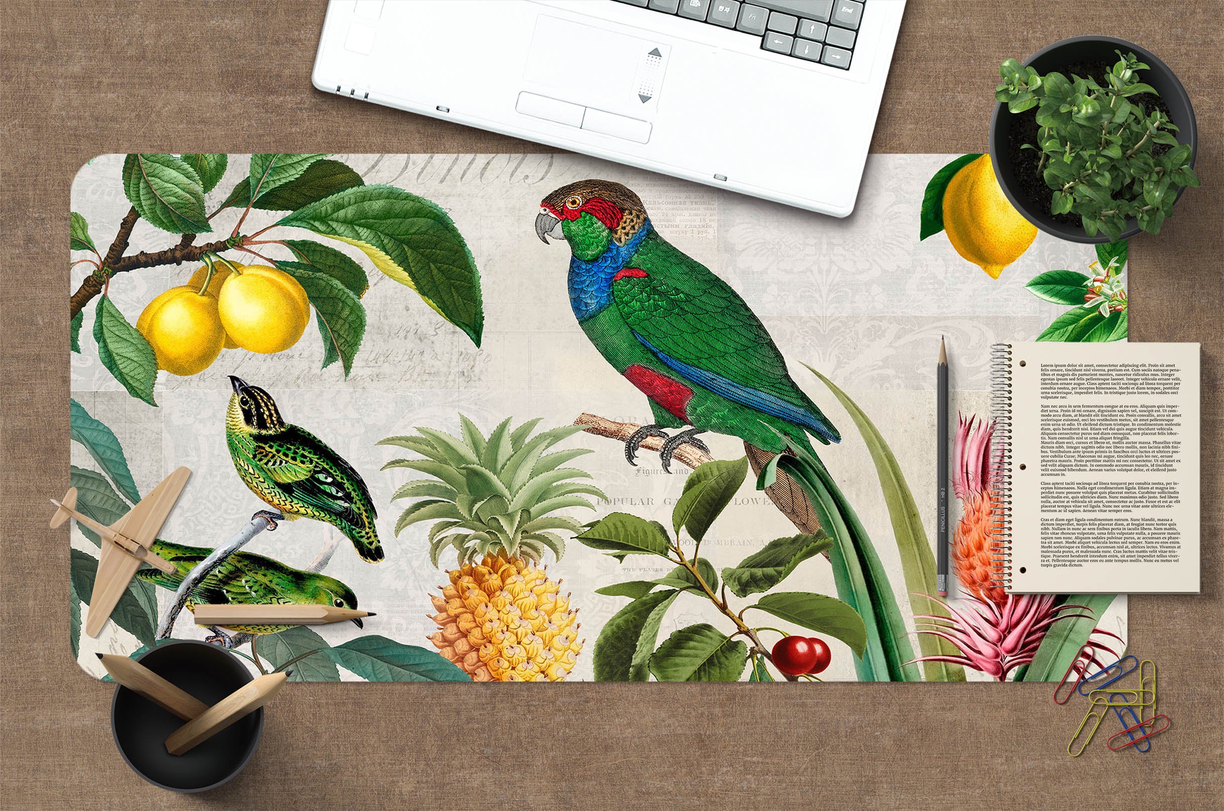 3D Pineapple Parrot 998 Andrea Haase Desk Mat