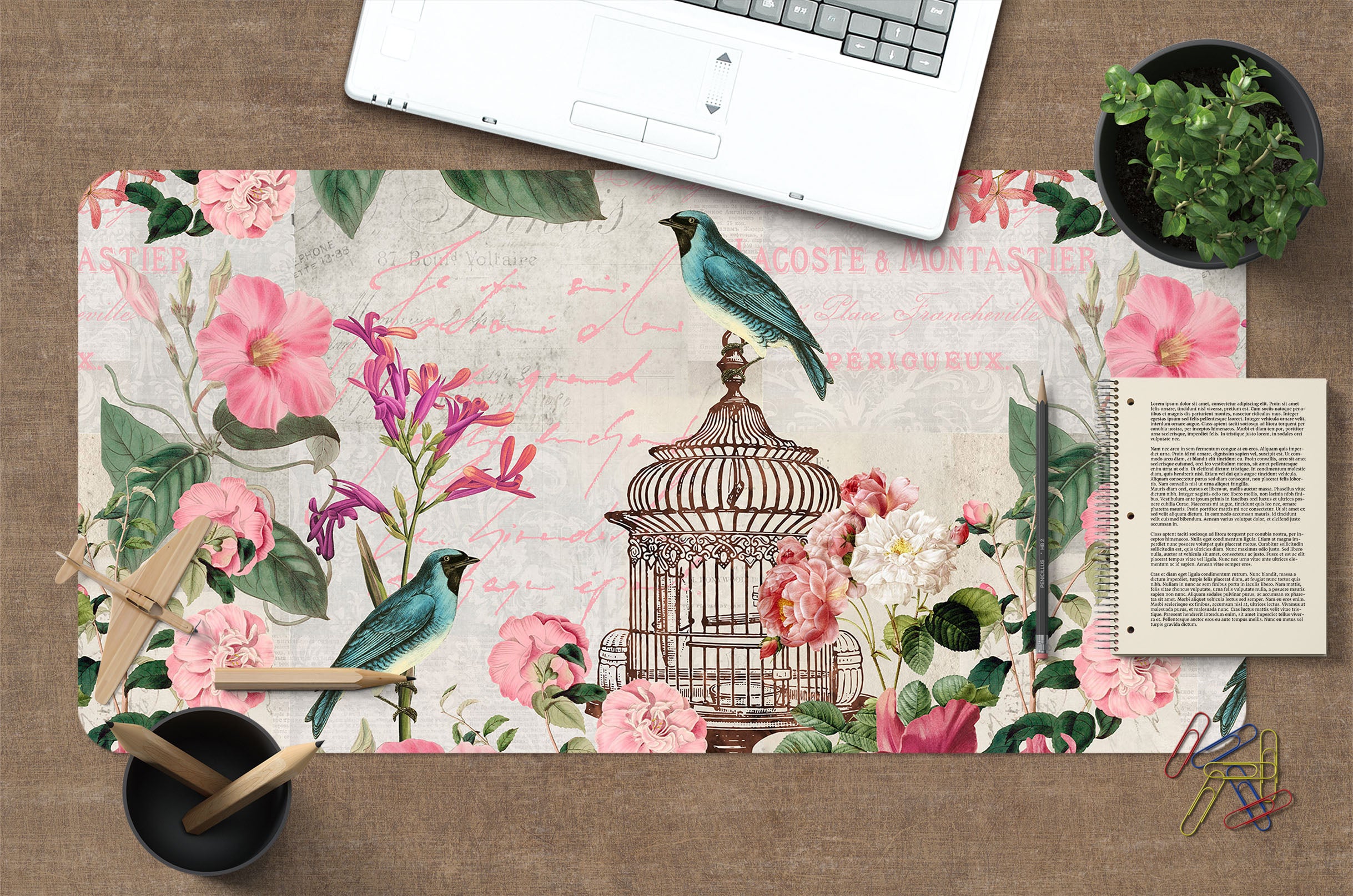 3D Blue Bird Cage 982 Andrea Haase Desk Mat