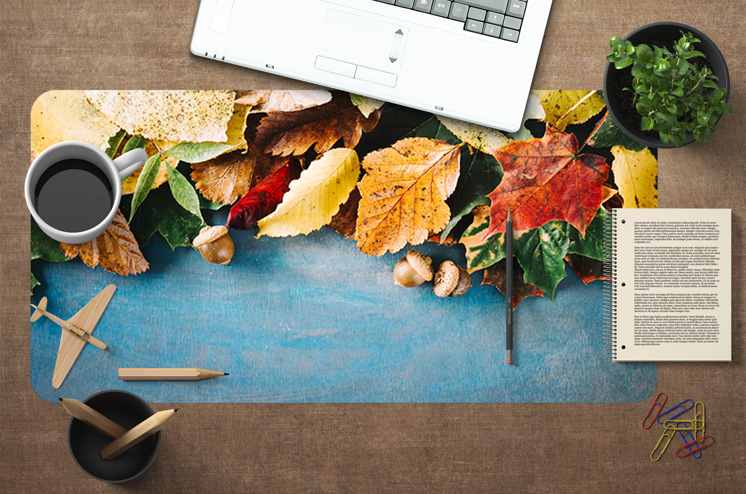 3D Dry Spices 17036 Desk Mat