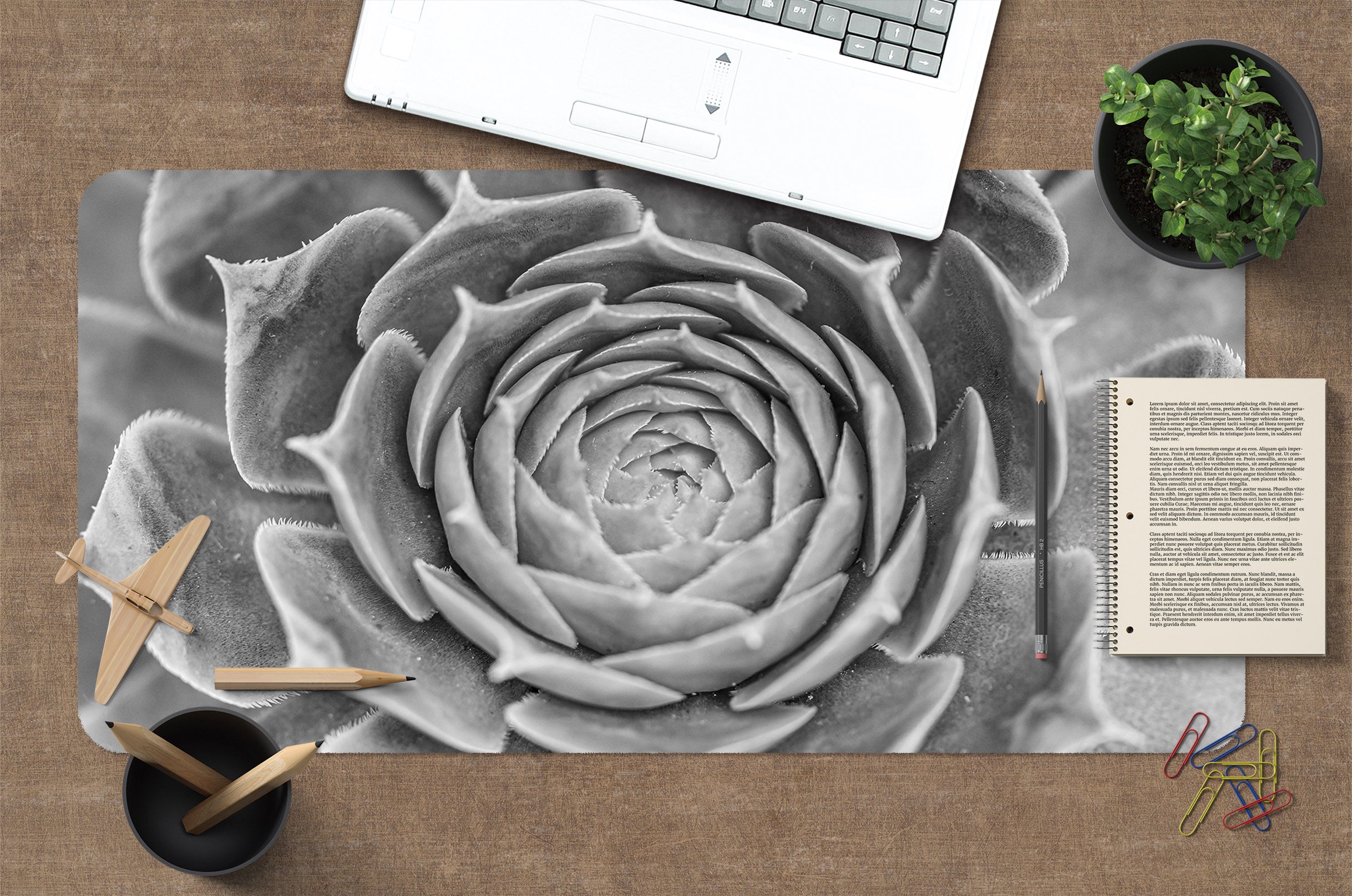 3D Gray Succulent 7763 Assaf Frank Desk Mat