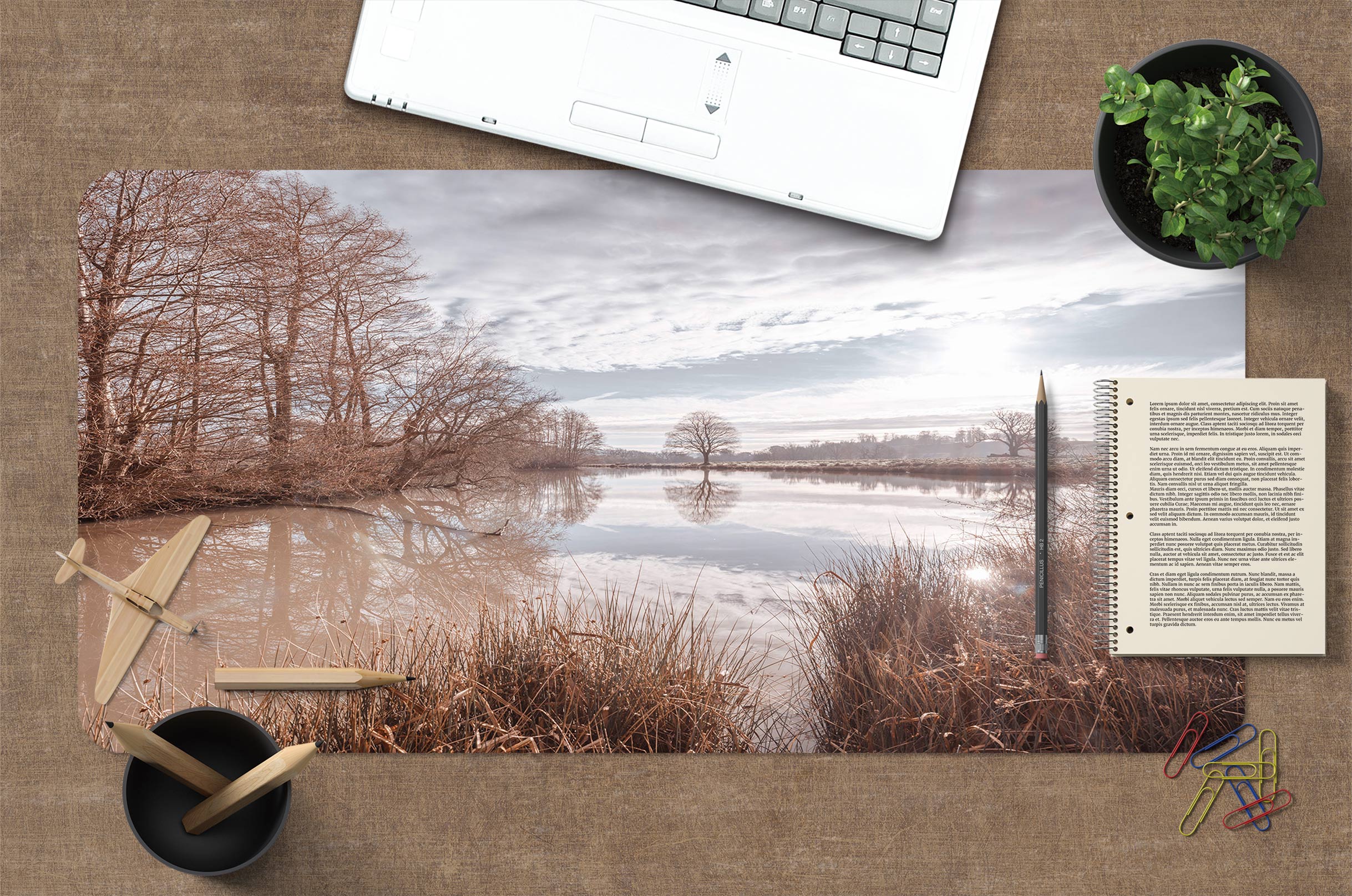 3D River Grass Tree 12451 Assaf Frank Desk Mat