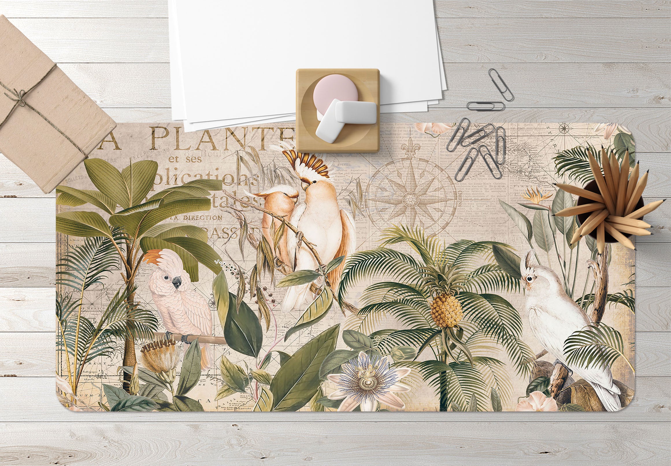 3D Pineapple Tree 5244 Andrea Haase Desk Mat