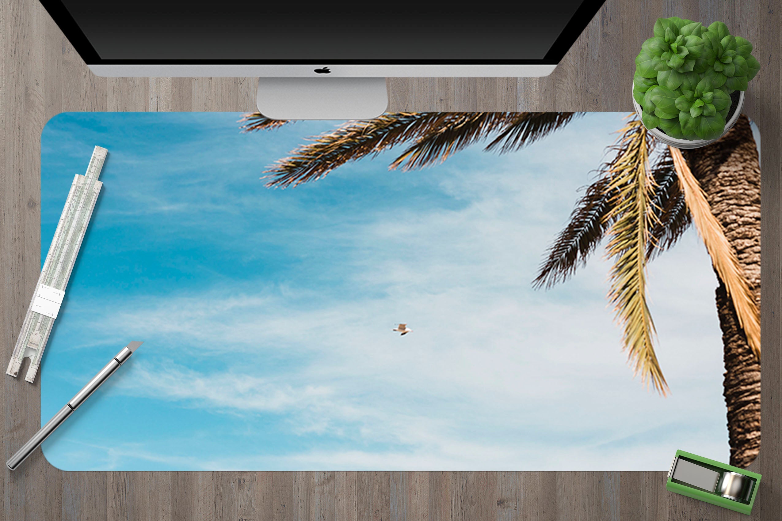 3D Sky Coconut 17051 Desk Mat