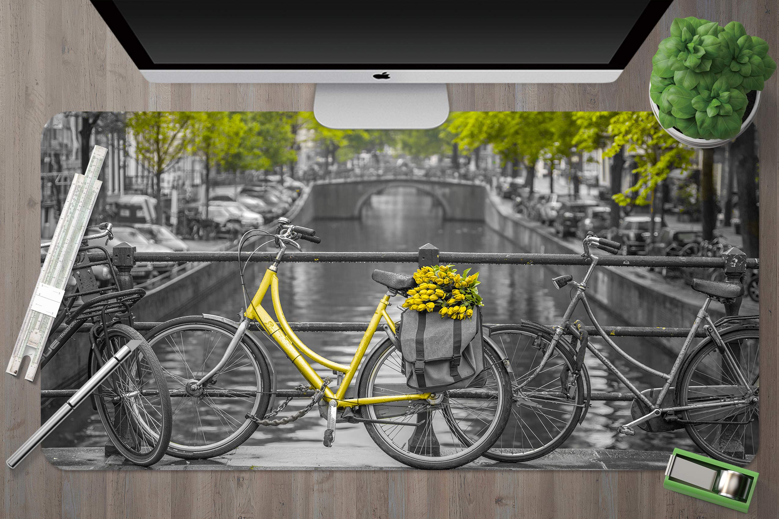 3D River Bike 12412 Assaf Frank Desk Mat
