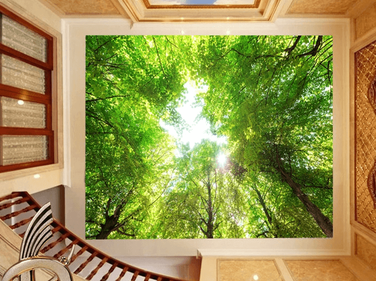 3D Forest Roof Sky Wallpaper AJ Wallpapers 