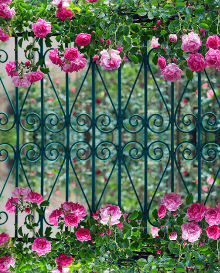 3D Iron Gate Flowers Floor Mural Wallpaper AJ Wallpaper 2 