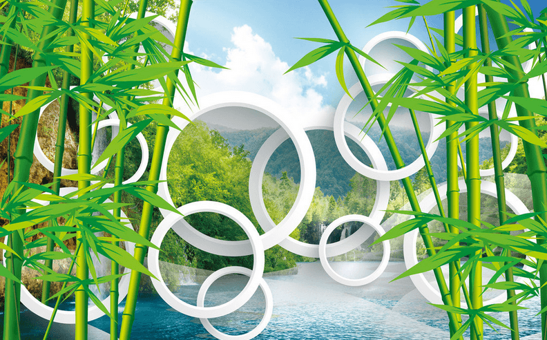 Lake Bamboos And Circles Wallpaper AJ Wallpaper 