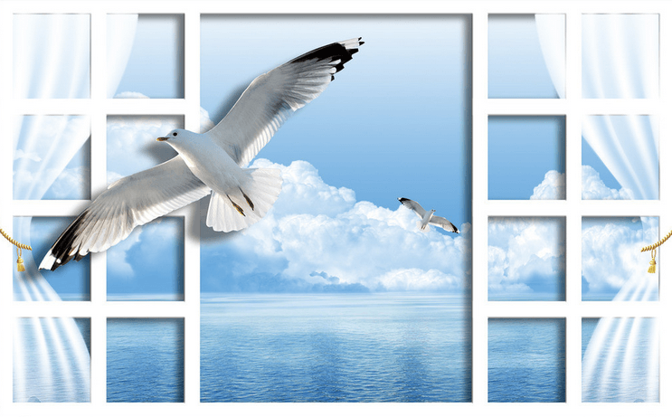 Window Flying Seagulls Wallpaper AJ Wallpaper 