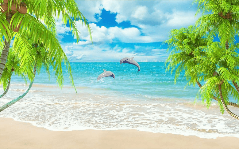 Beach Dolphins Wallpaper AJ Wallpaper 