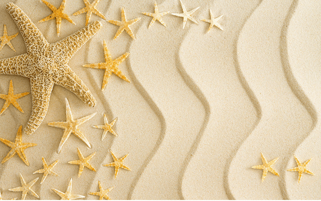 3D Beach Starfishes Wallpaper AJ Wallpaper 