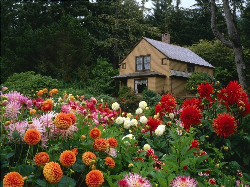 3D House Flowers 116 Garage Door Mural Wallpaper AJ Wallpaper 