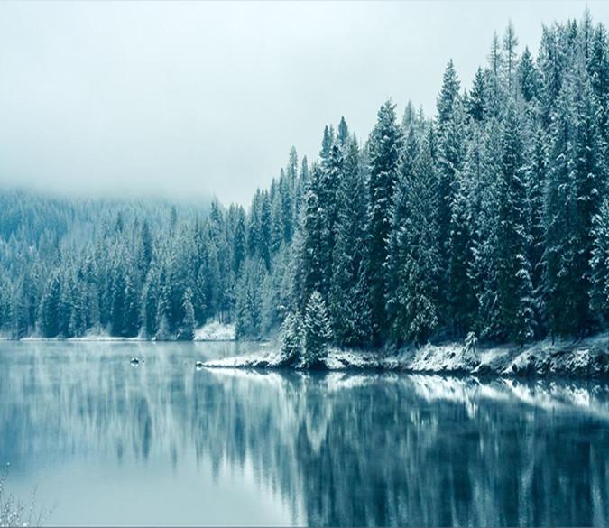 Winter Pine Trees And River 53 Wallpaper AJ Wallpaper 1 