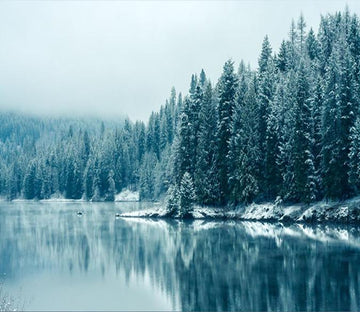 Winter Pine Trees And River 53 Wallpaper AJ Wallpaper 1 