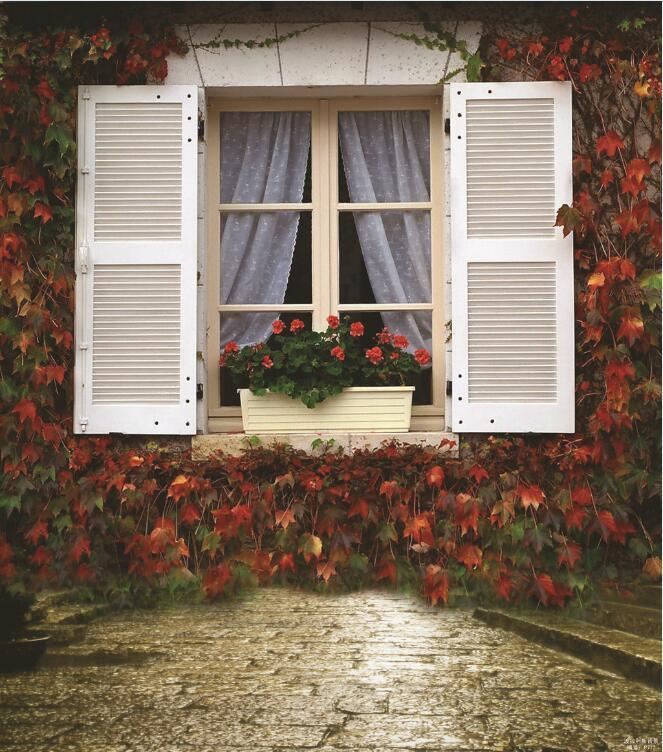 3D Window Red Vine 210 Garage Door Mural Wallpaper AJ Wallpaper 