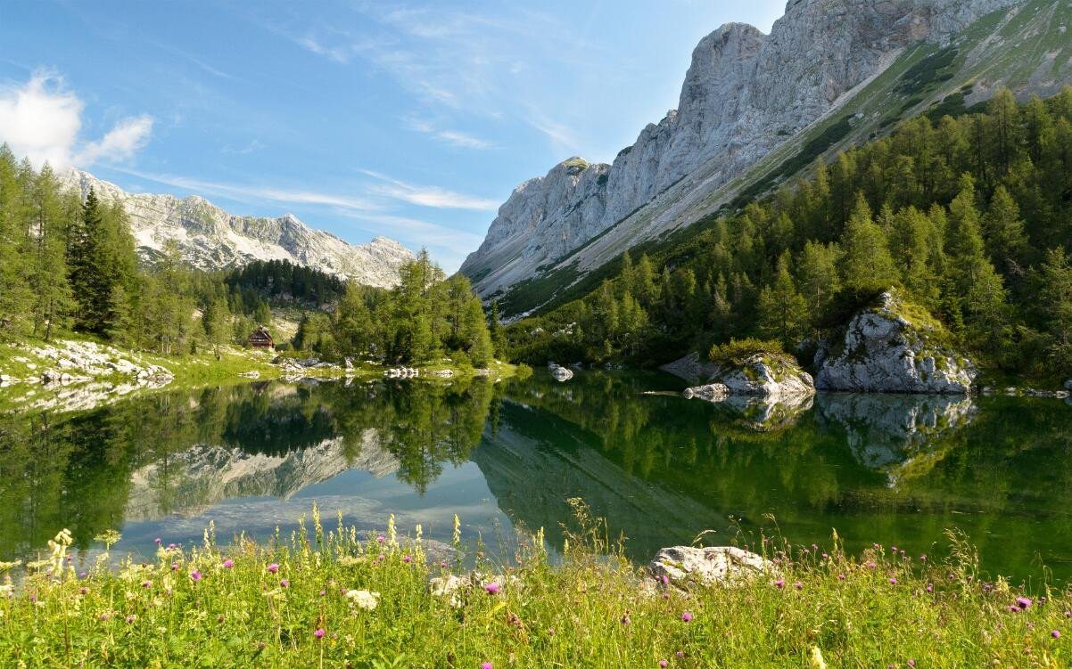 3D Mountain Calm Lake 205 Garage Door Mural Wallpaper AJ Wallpaper 