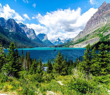 Wild View As Picture 92 Wallpaper AJ Wallpaper 1 