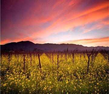 Yellow Flower Manor And Hill 98 Wallpaper AJ Wallpaper 1 