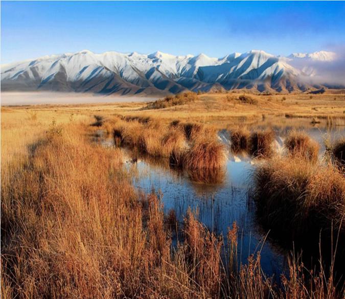 Winter Field Grass And Mountain 8 Wallpaper AJ Wallpaper 1 