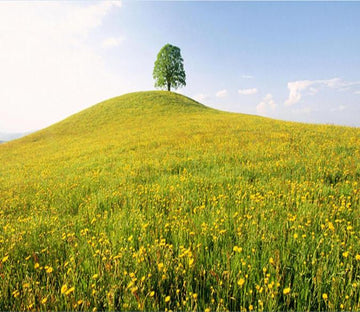 Yellow Flower Lawn And Tree 9 Wallpaper AJ Wallpaper 1 