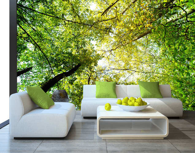 3D Forest Sunshine 390 Wallpaper AJ Wallpaper 