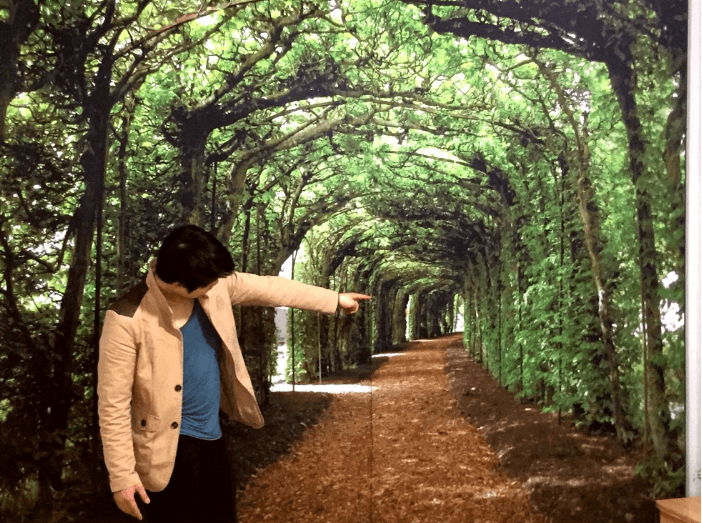 3D Trees Corridor 1150 Curtains Drapes Wallpaper AJ Wallpaper 